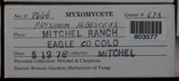 Image Associated With the Occurence